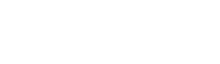 A1